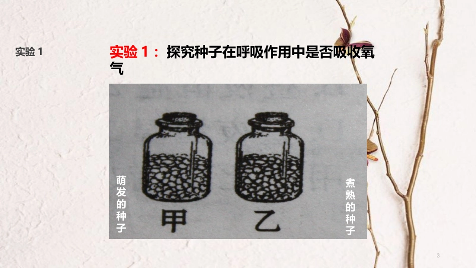 七年级生物上册 第三单元 第五章 第二节《绿色植物的呼吸作用》课件 （新版）新人教版_第3页