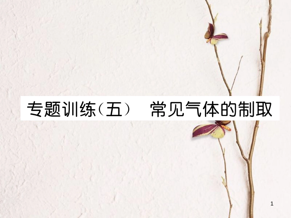 九年级化学上册 专题训练（五）常见气体的制取习题课件 （新版）新人教版_第1页