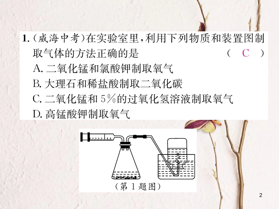 九年级化学上册 专题训练（五）常见气体的制取习题课件 （新版）新人教版_第2页