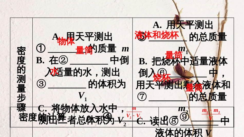 中考物理 基础过关复习集训 第六章 质量与密度 第2节 测量物质的密度课件 新人教版_第3页