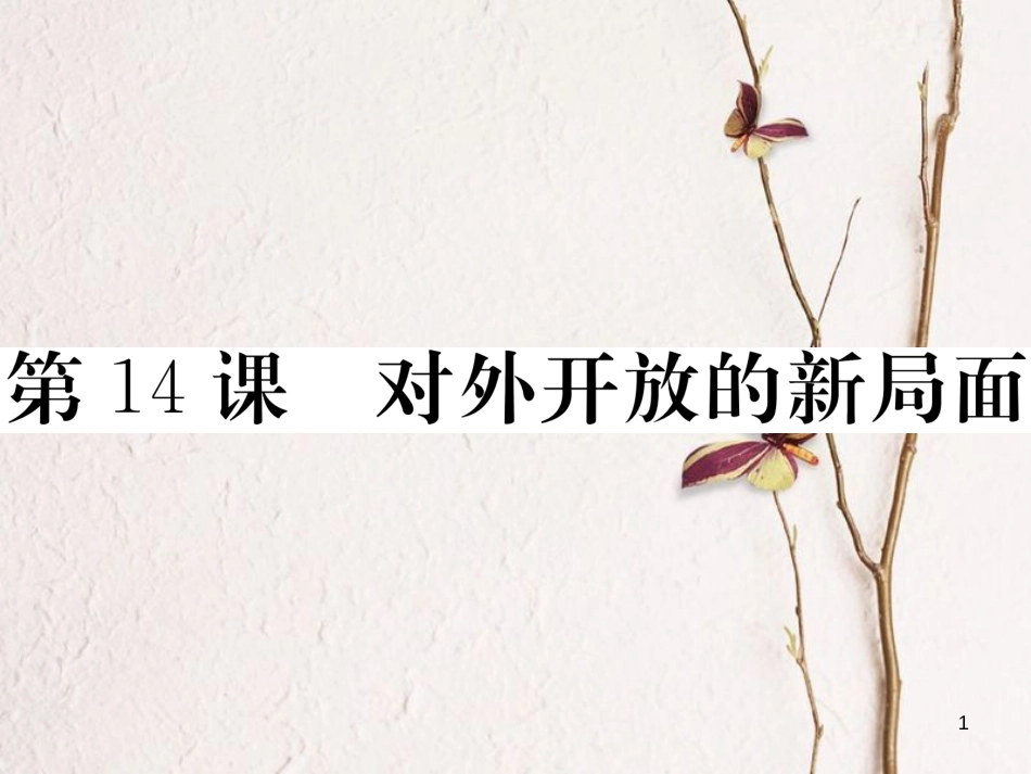 八年级历史下册 第四单元 建设中国特色社会主义道路的开拓 第14课 对外开放的新局面习题课件 岳麓版_第1页