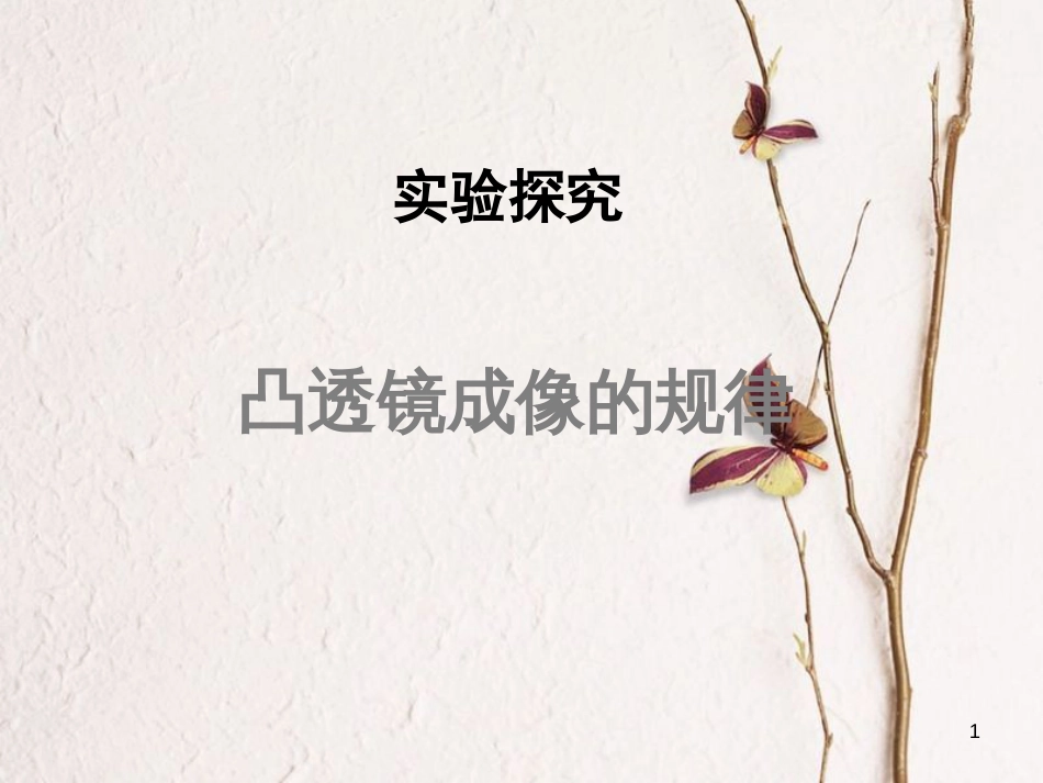 八年级物理上册 4.2《凸透镜成像的规律》课件1 鲁教版五四制_第1页