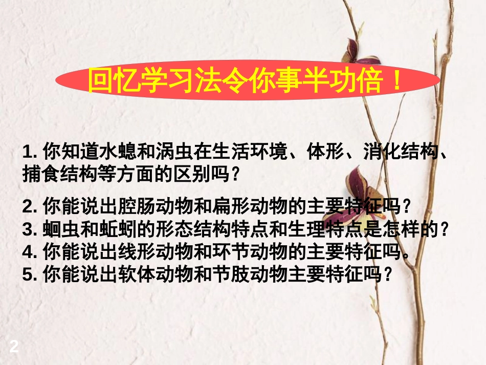 八年级生物上册 第五单元 第1章 动物的主要类群（1-3节）复习课件 （新版）新人教版_第2页