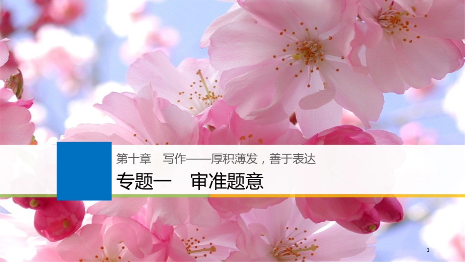 2019届高考语文一轮复习 第十章 写作-厚积薄发，善于表达 专题一 审准题意课件_第1页
