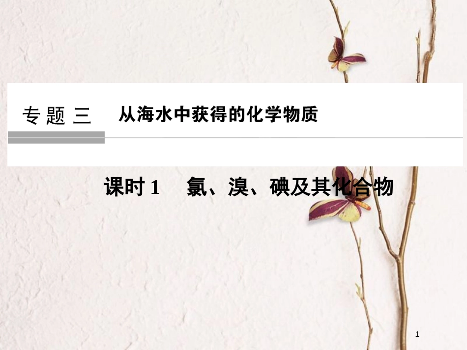 （浙江专版）2019版高考化学大一轮复习 专题三 从海水中获得的化学物质 课时1 氯、溴、碘及其化合物课件_第1页