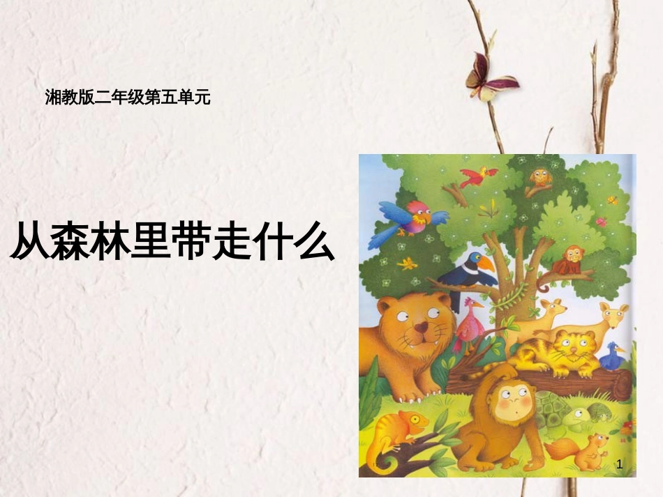 二年级语文上册 第五单元 从森林里带走什么课件1 湘教版_第1页
