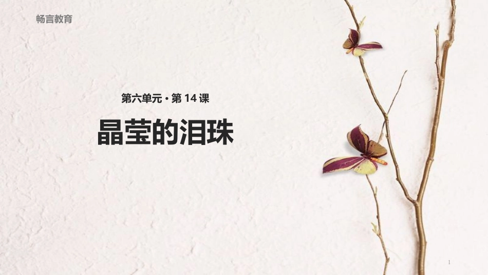 八年级语文下册 14《晶莹的泪珠》教学课件 长春版_第1页