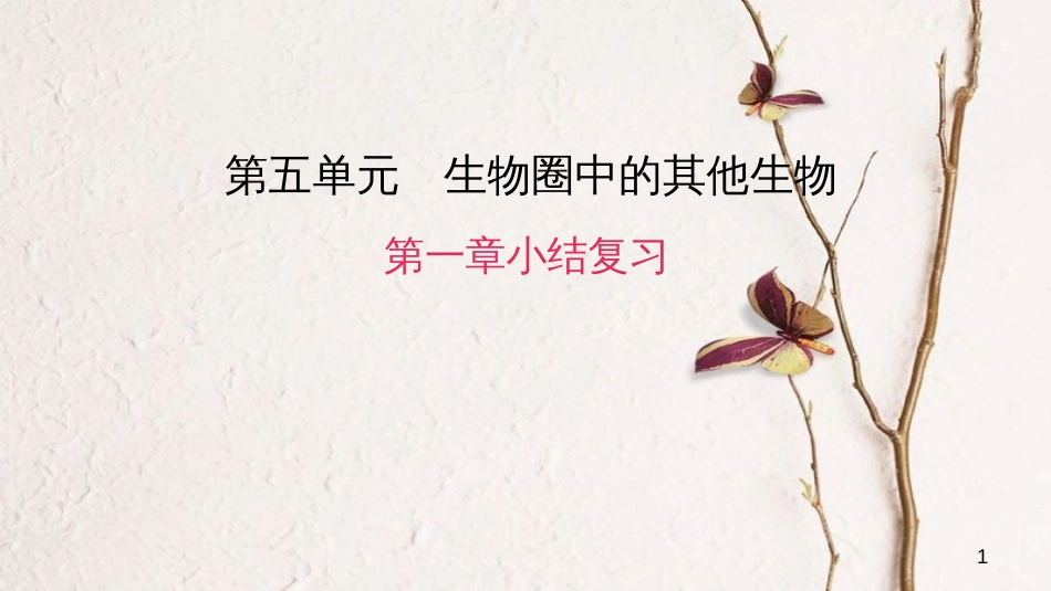 八年级生物上册 第五单元 第一章 动物的主要类群小结复习课件 （新版）新人教版_第1页