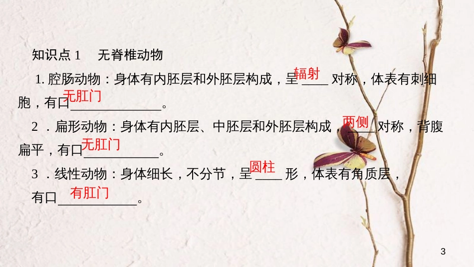 八年级生物上册 第五单元 第一章 动物的主要类群小结复习课件 （新版）新人教版_第3页