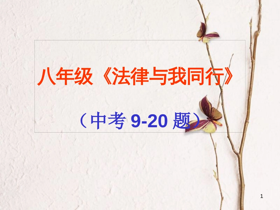 湖北省武汉市中考政治 法律与我同行复习课件_第1页