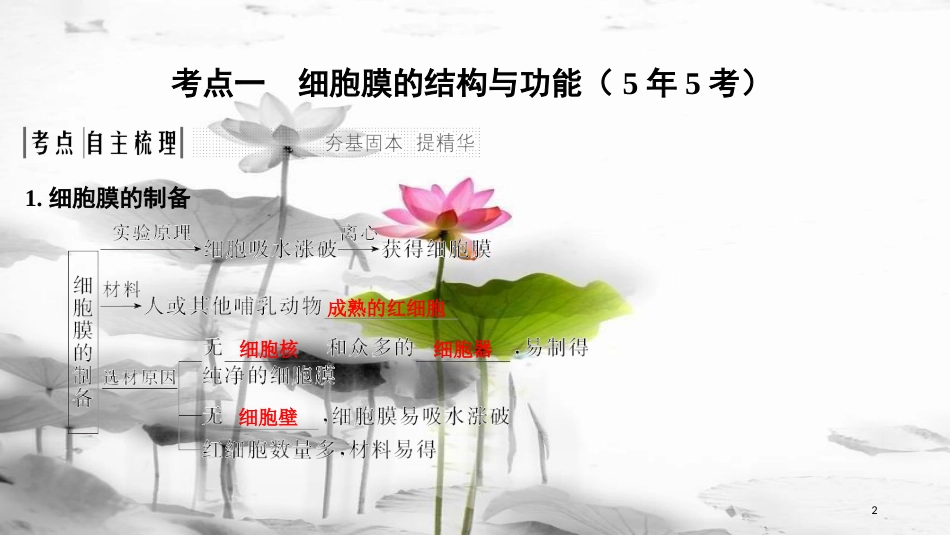 届高考生物一轮复习 第二单元 细胞的基本结构与物质运输 第5讲 细胞膜与细胞核课件_第2页