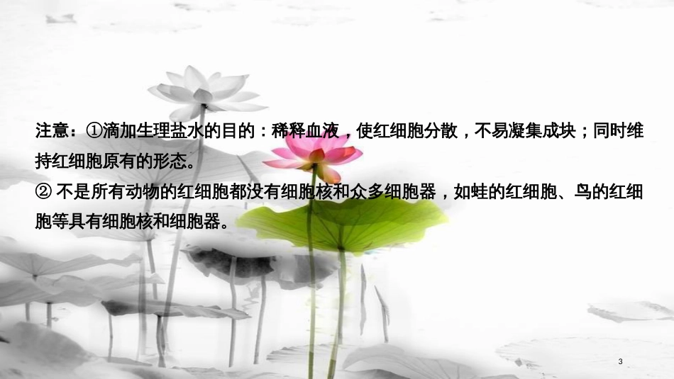 届高考生物一轮复习 第二单元 细胞的基本结构与物质运输 第5讲 细胞膜与细胞核课件_第3页