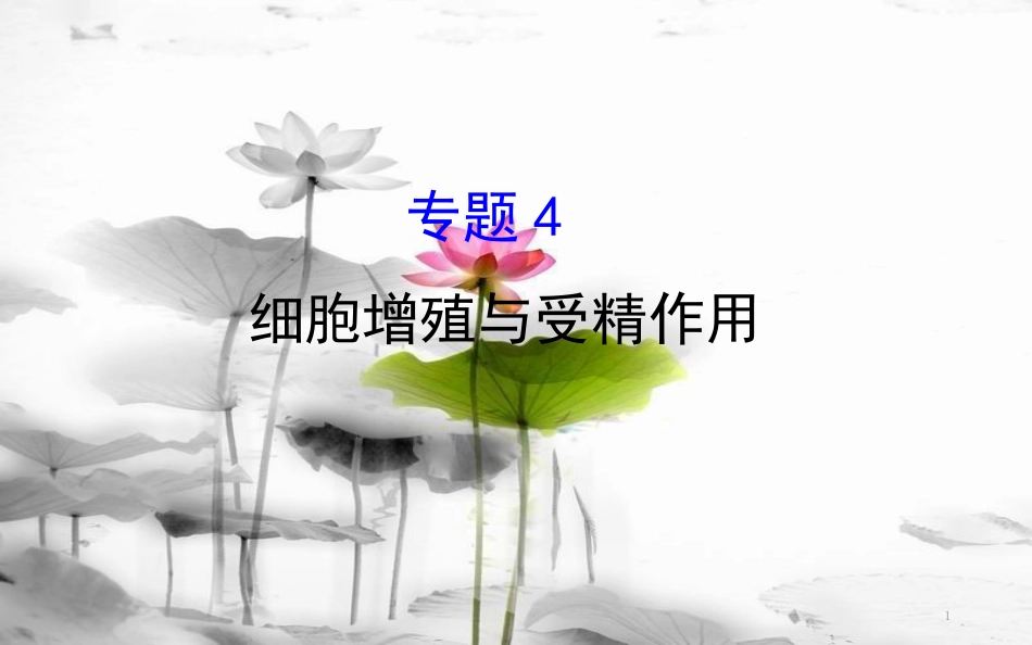 届高三生物二轮复习 2.4 专题4 细胞增殖与受精作用课件_第1页