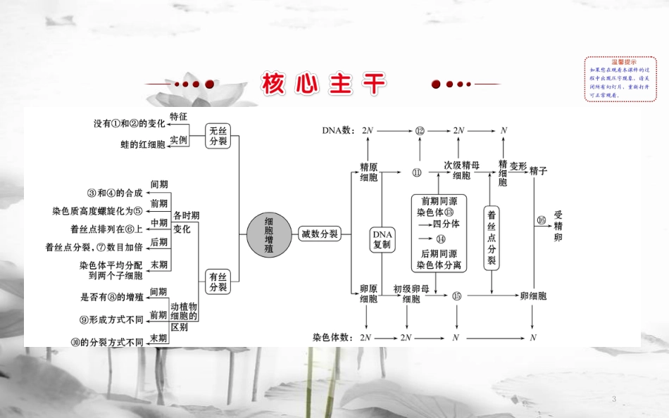 届高三生物二轮复习 2.4 专题4 细胞增殖与受精作用课件_第3页