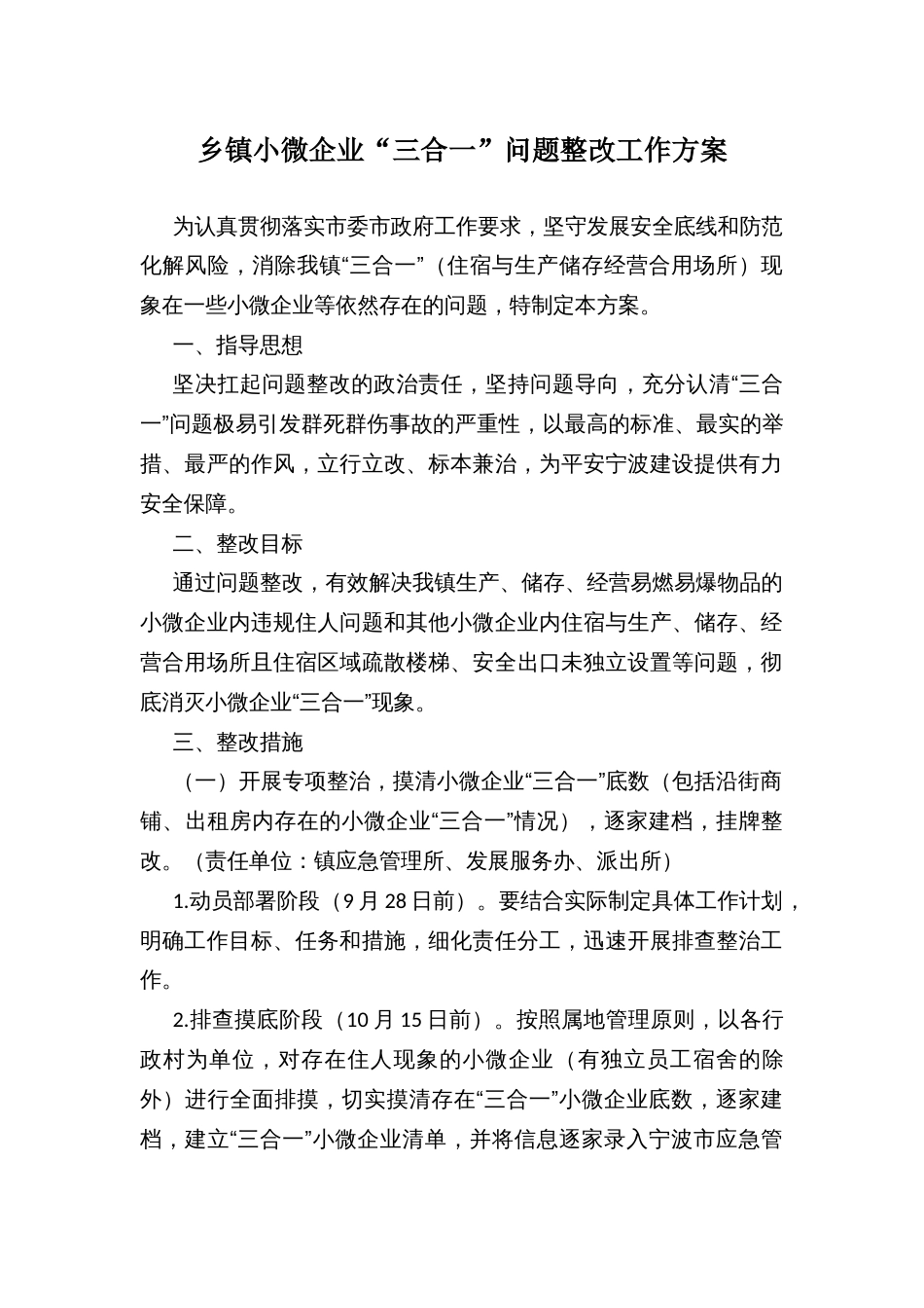 乡镇小微企业“三合一”问题整改工作方案_第1页