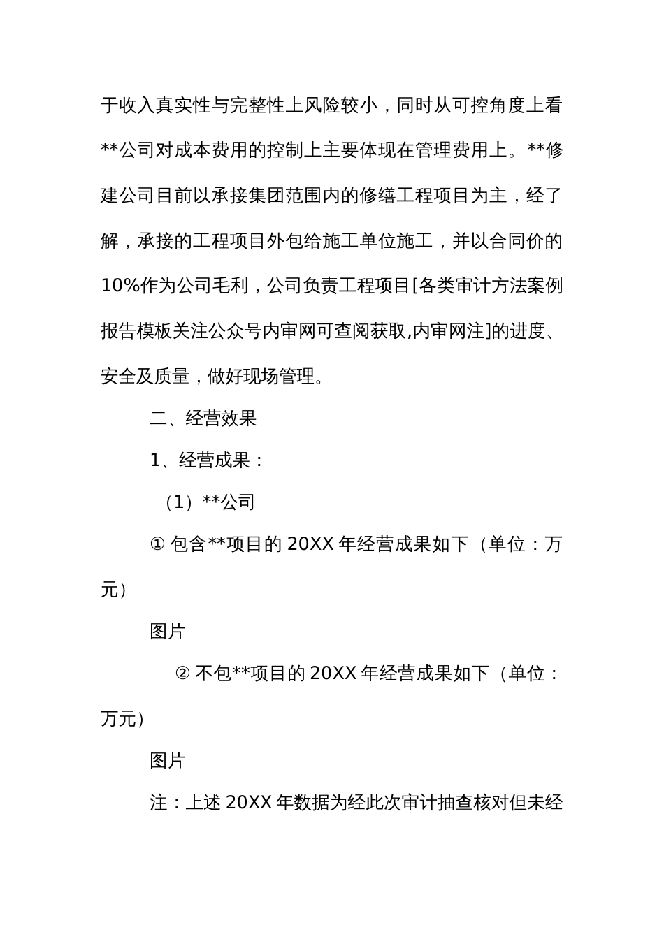 公司经济效益专项审计示范报告文本_第2页