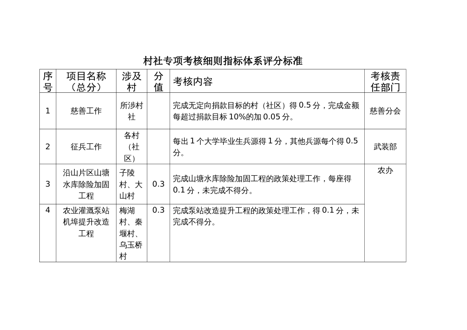 村社专项考核细则指标体系评分标准_第1页