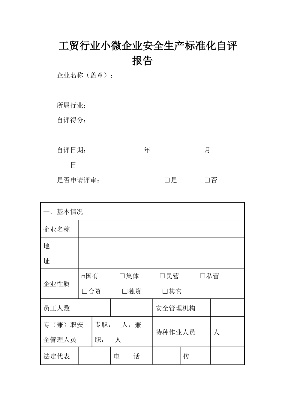 工贸行业小微企业安全生产标准化自评报告_第1页