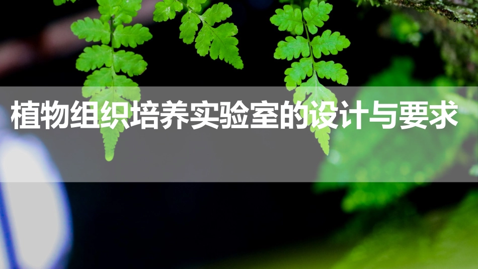 (3)--2.1 组培实验室设计与要求_第1页