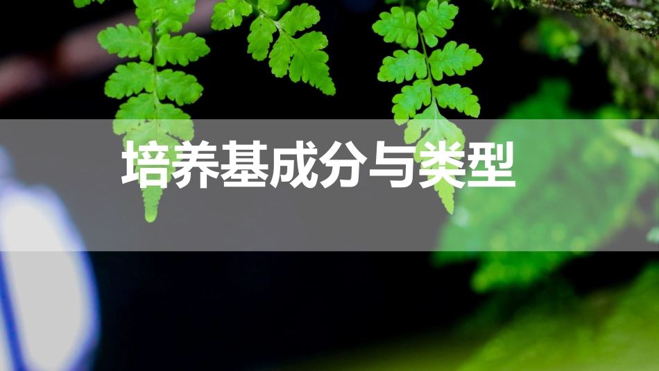 (7)--3.1 培养基成分与类型_第1页