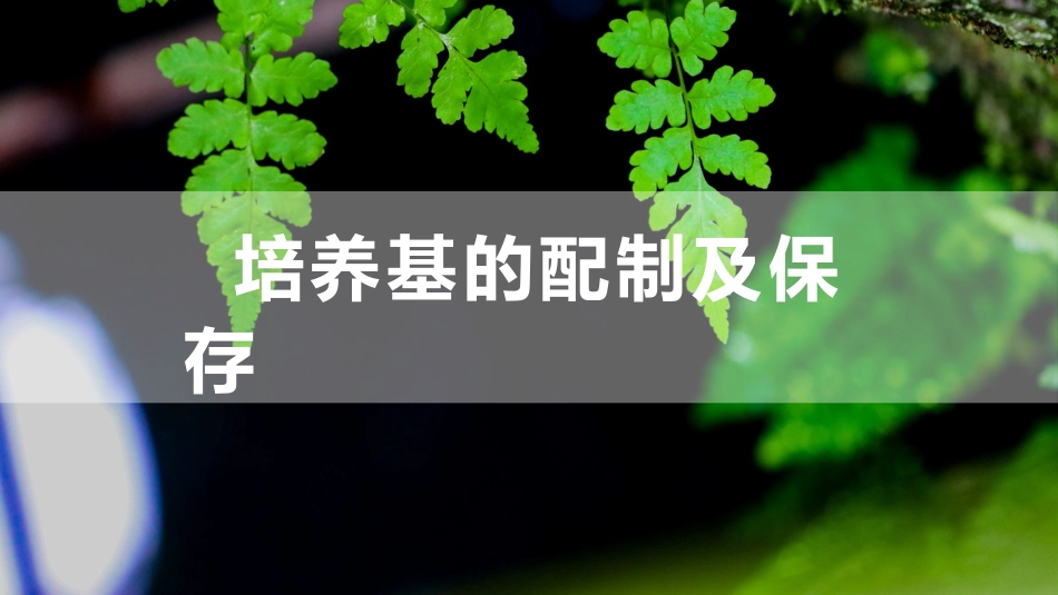 (15)--3.3 培养基配制与保存_第1页