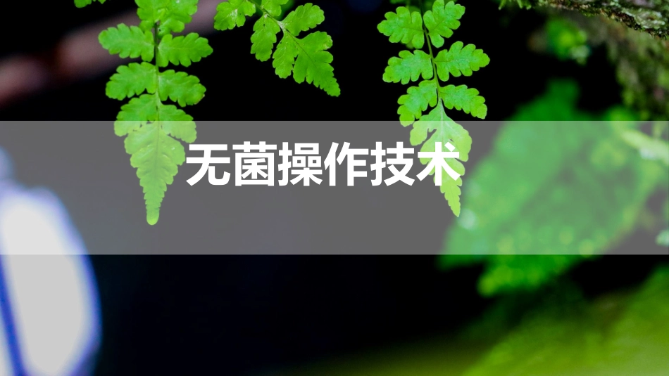 (17)--3.5 无菌操作技术植物组织培养_第1页