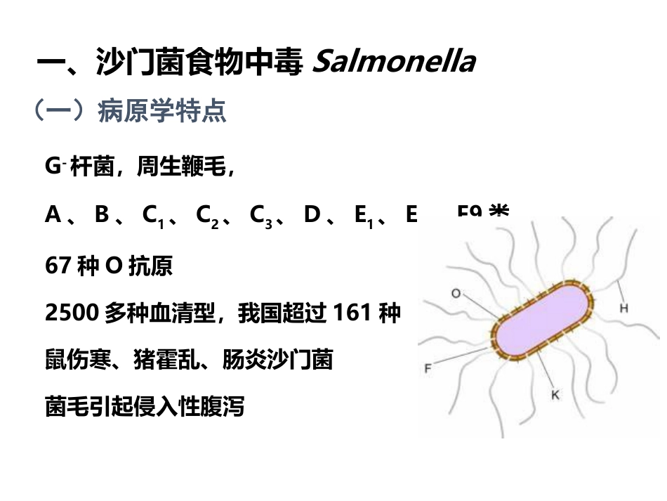 (27)--4、常见的细菌性食物中毒_第2页