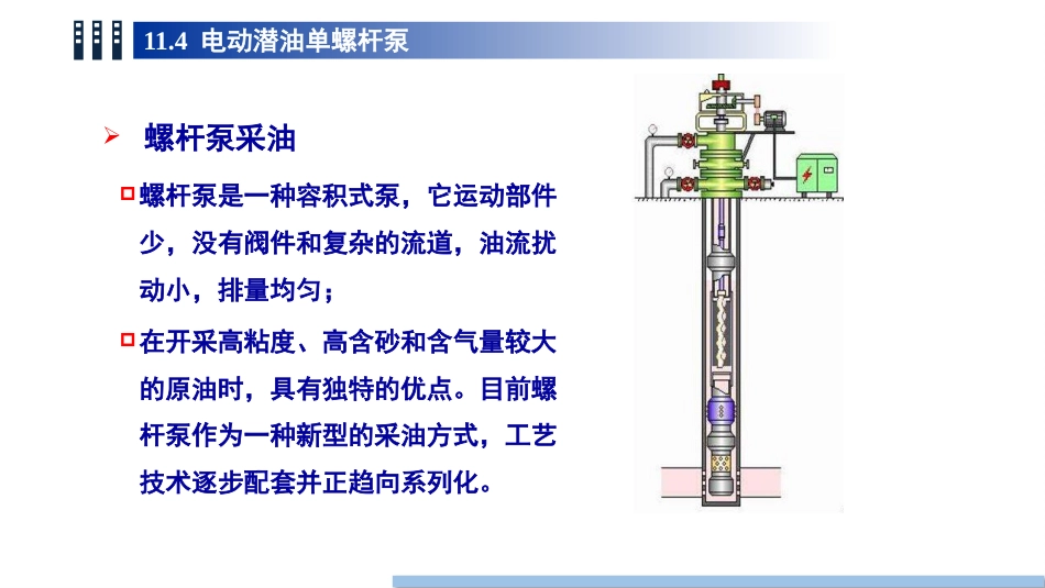 (93)--11.4电动潜油单螺杆泵_第2页