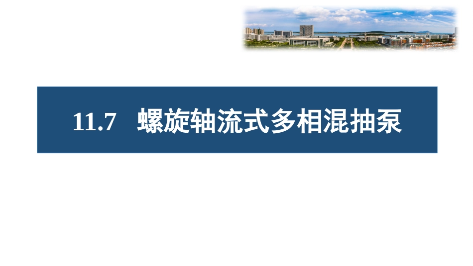 (96)--11.7螺旋式多相混抽泵_第1页