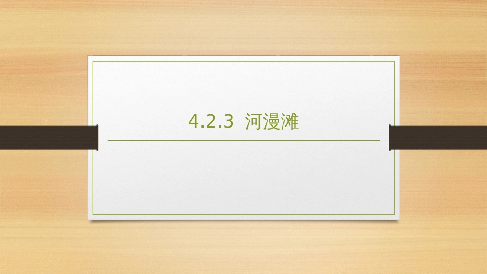 (2.9)--4.2.3 河漫滩地貌学_第1页