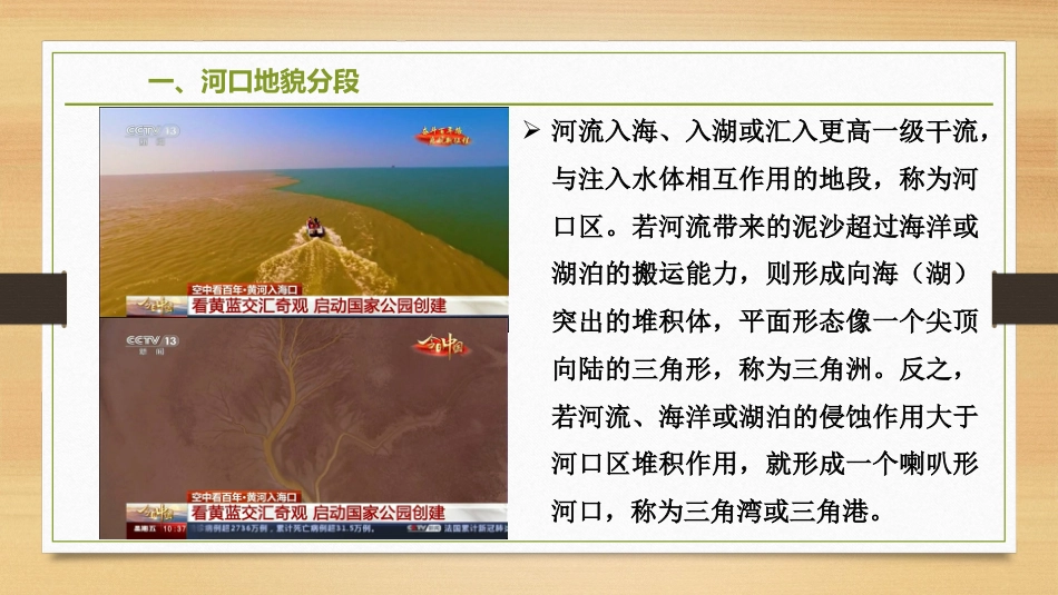 (2.12)--4.3.1 河口区地貌地貌学_第3页