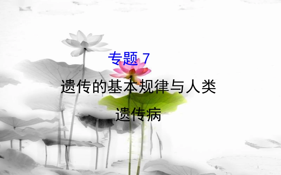 届高三生物二轮复习 2.7 专题7 遗传的基本规律与人类遗传病课件_第1页