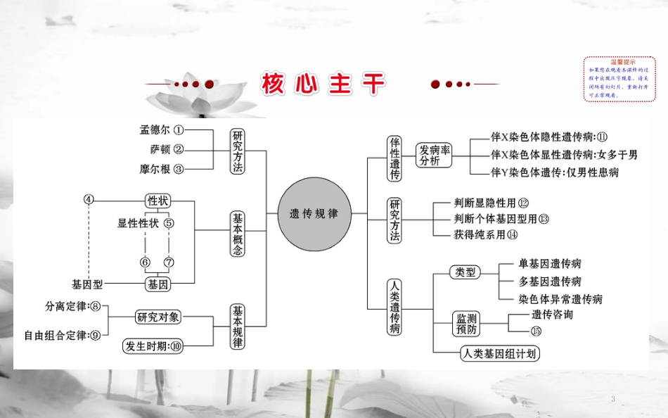 届高三生物二轮复习 2.7 专题7 遗传的基本规律与人类遗传病课件_第3页