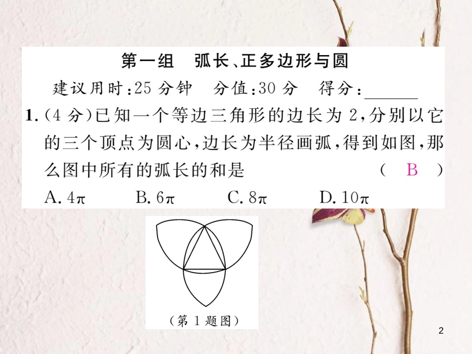 九年级数学下册 双休作业(六)作业课件 (新版)湘教版_第2页