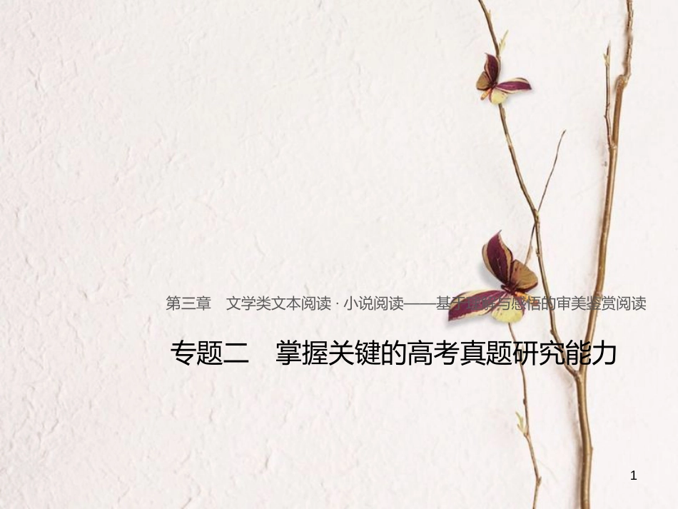 （全国版）2019版高考语文大一轮复习 第三章 文学类文本阅读 小说阅读 专题二 掌握关键的高考真题研究能力课件_第1页