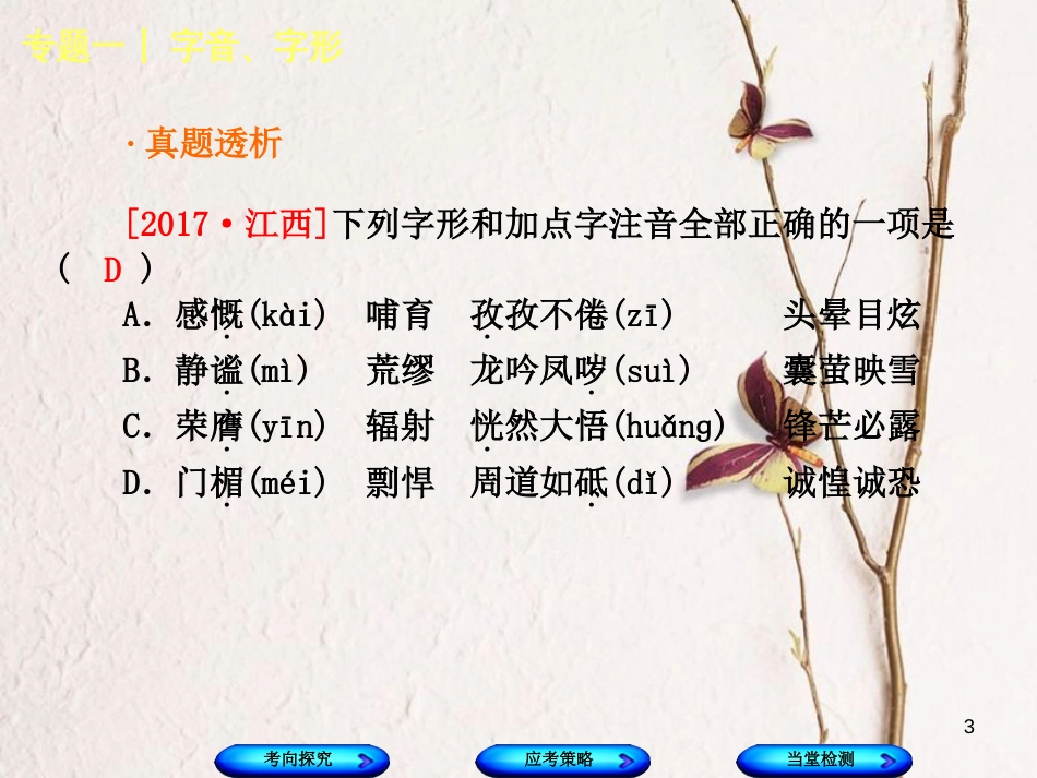 （江西专版）中考语文 第1篇 语文知识及运用 专题一 字音、字形课件_第3页