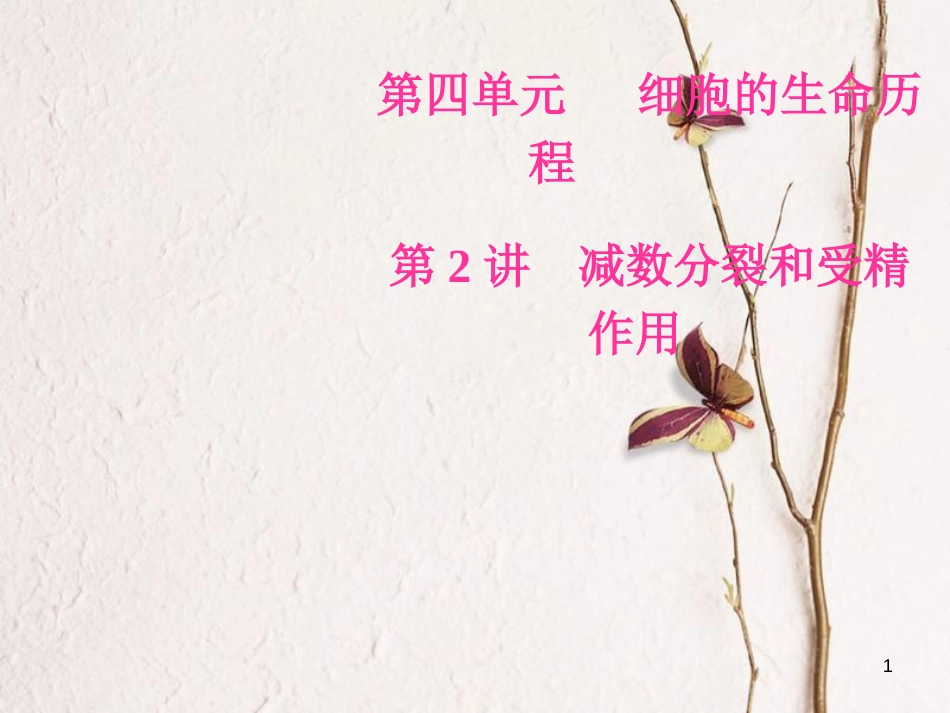 2019版高考生物总复习 第四单元 细胞的生命历程 第2讲 减数分裂和受精作用课件_第1页