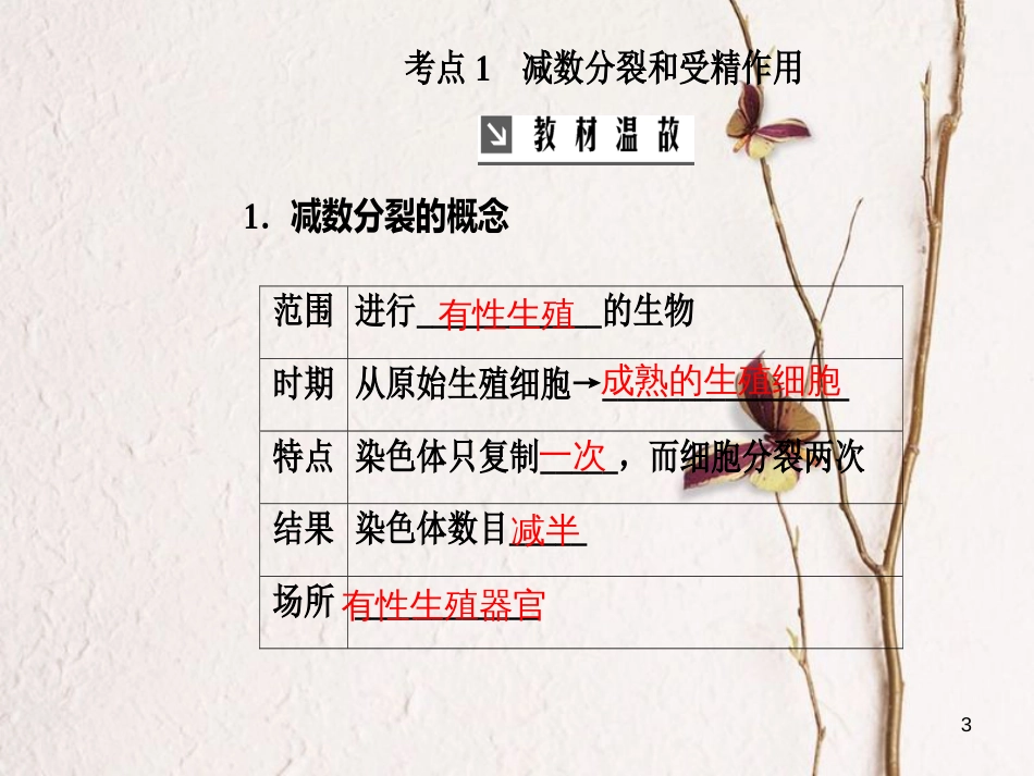 2019版高考生物总复习 第四单元 细胞的生命历程 第2讲 减数分裂和受精作用课件_第3页