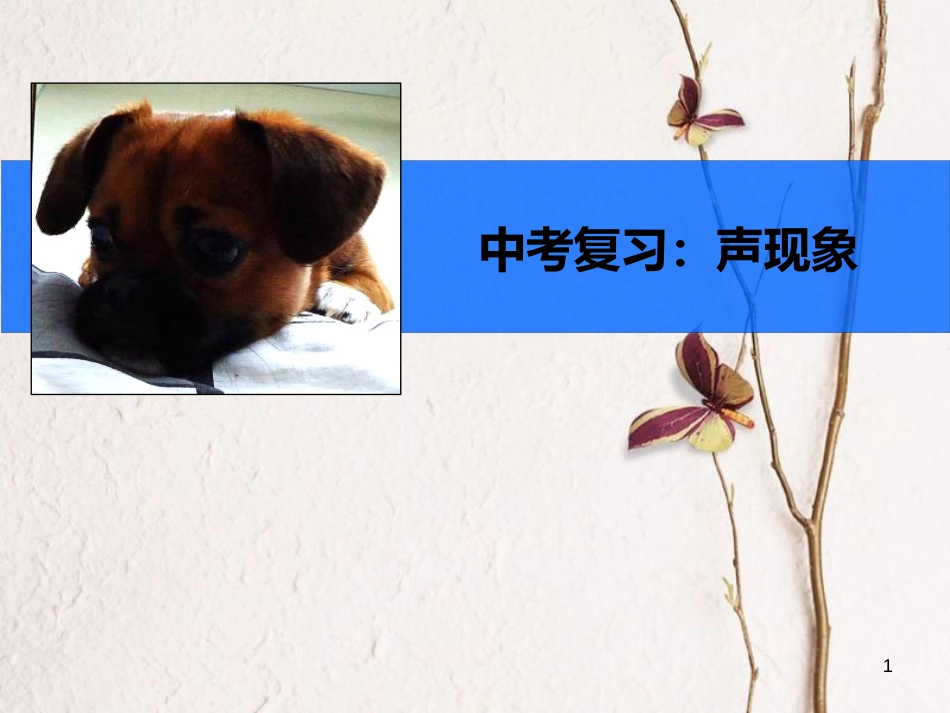 八年级物理上册 第二章《声现象》复习课件 鲁教版五四制_第1页