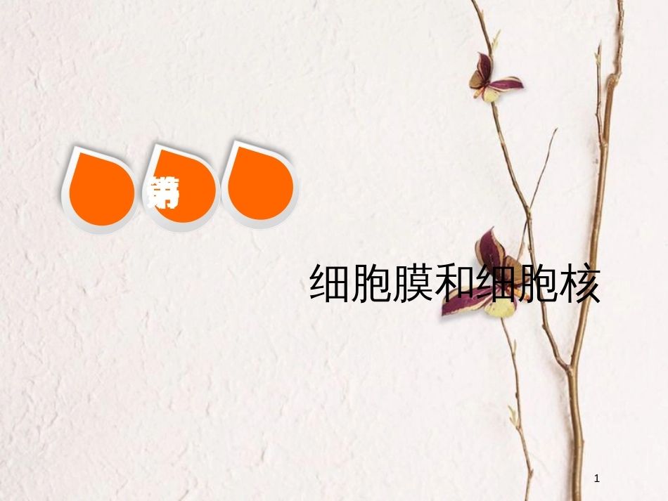 2019版高考生物一轮复习 第二单元 细胞的结构与物质的输入和输出 第一讲 细胞膜和细胞核精选课件_第1页