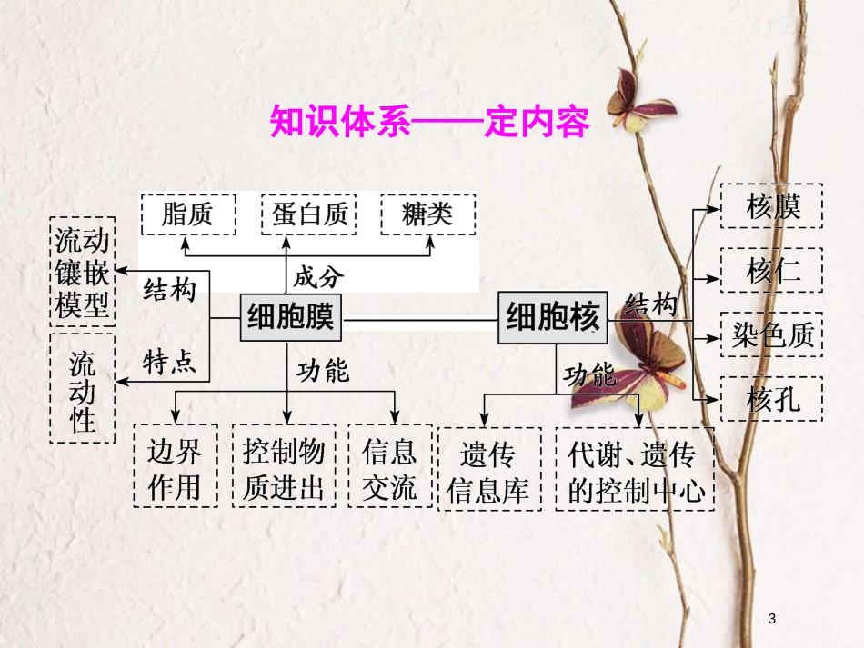 2019版高考生物一轮复习 第二单元 细胞的结构与物质的输入和输出 第一讲 细胞膜和细胞核精选课件_第3页