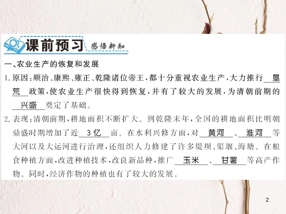 （北部湾专版）七年级历史下册 第三单元 明清时期：统一多民族国家的巩固与发展 第19课 清朝前期社会经济的发展习题课件 新人教版_第2页