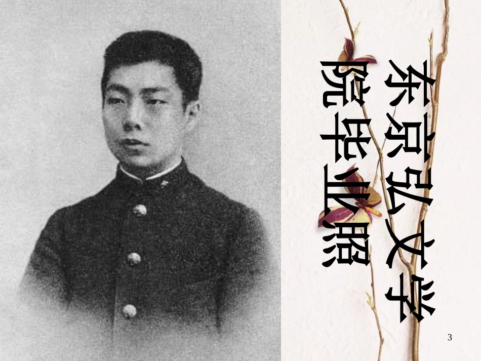 湖南省迎丰镇七年级语文上册第三单元9从百草园到三味书屋课件新人教版_第3页