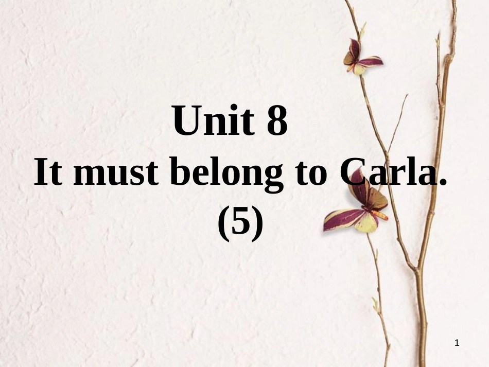 九年级英语全册 口译精练 Unit 8 It must belong to Carla(5)课件 （新版）人教新目标版_第1页