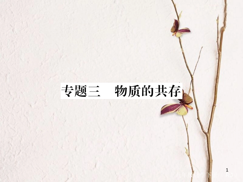 （通用）九年级化学下册 第11单元 盐 化肥 专题三 物质的共存课件 （新版）新人教版_第1页