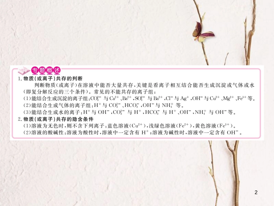 （通用）九年级化学下册 第11单元 盐 化肥 专题三 物质的共存课件 （新版）新人教版_第2页