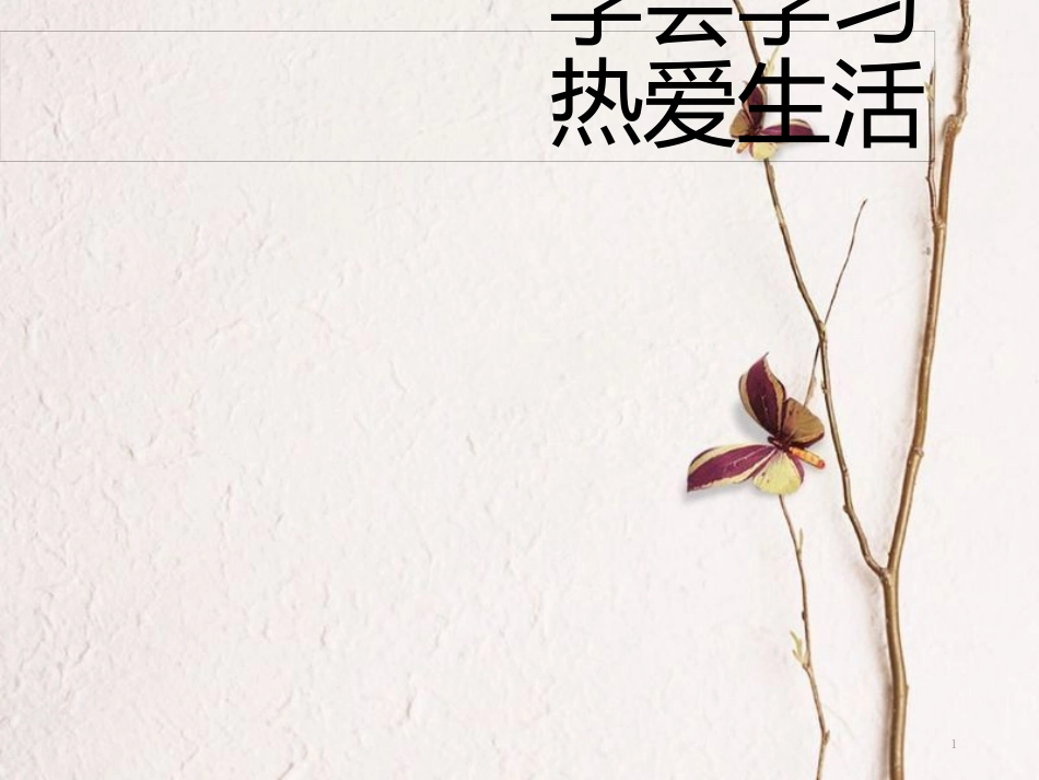 中考政治一轮复习 第二课时 学会学习 热爱生活课件_第1页