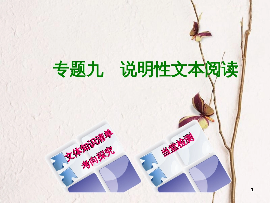 （浙江专用）中考语文 专题复习九 说明性文本阅读课件 新人教版_第1页