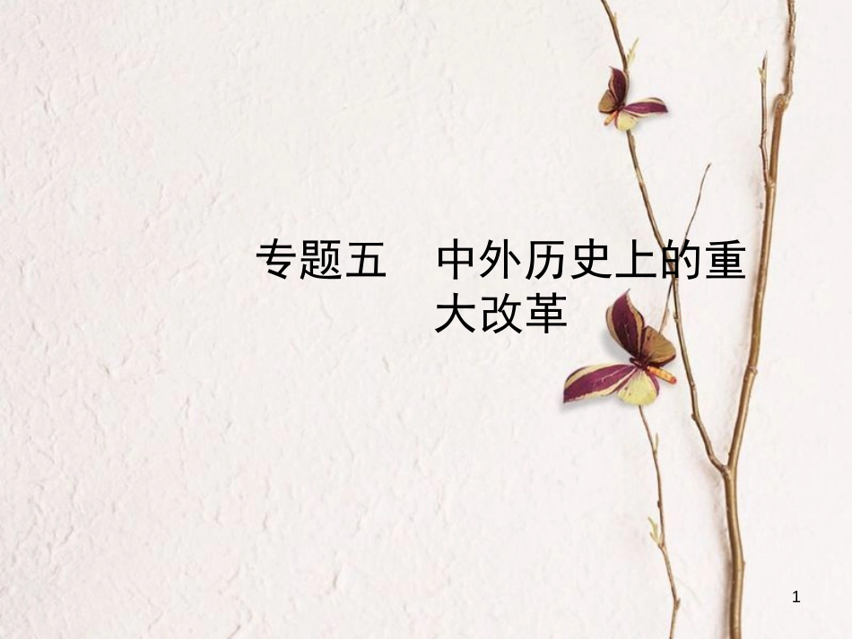 山东省滨州市中考历史复习 专题五 中外历史上的重大改革课件_第1页