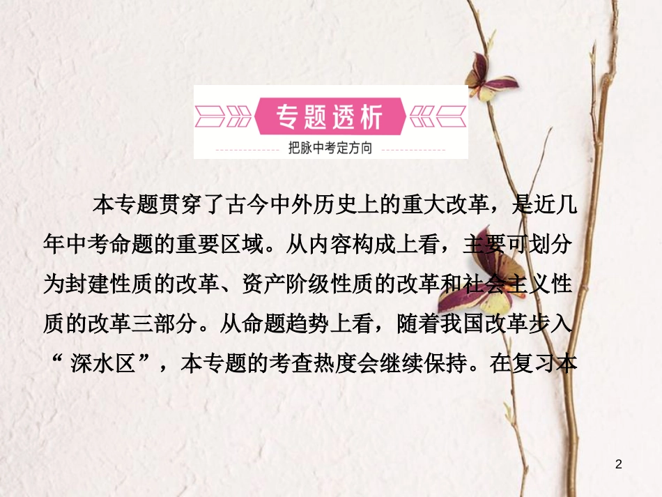 山东省滨州市中考历史复习 专题五 中外历史上的重大改革课件_第2页